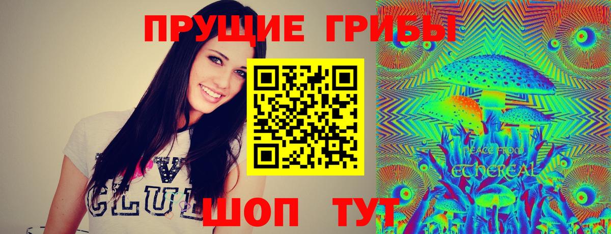 Галлюциногенные грибы ЛСД  Вход с VPN  Псилоцибиновые грибы Magic Shrooms  Котовск 